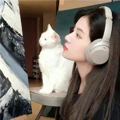 功夫特务